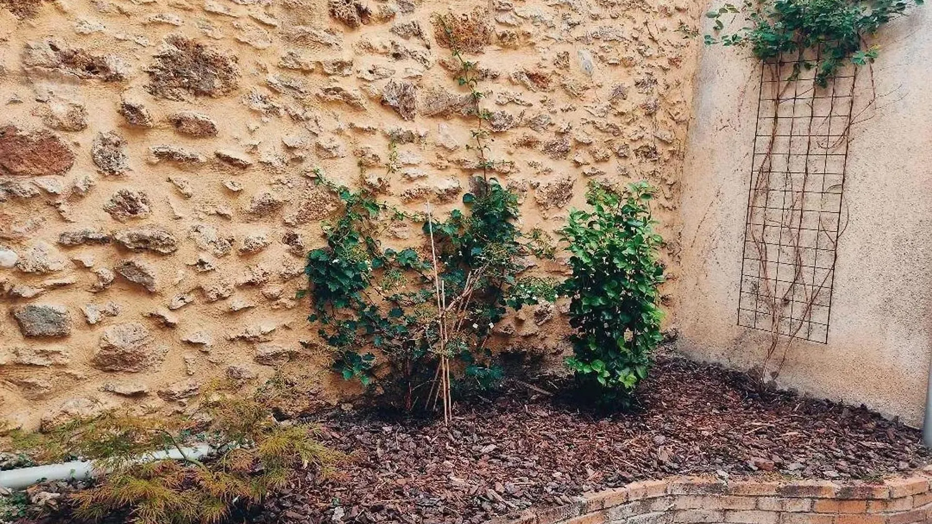 Maison Confortable Avec Jardin A Massy Massy  0*, Massy (Essonne) France